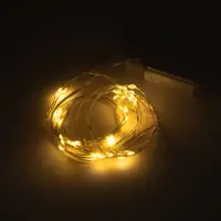 Електрична гірлянда YES Нитка 975030 6 м 60 LED тепло-біла