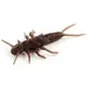Силикон FishUp Stonefly 0.75in/21мм/12шт/цвет 012 (10017101)