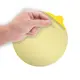 Липкий вкладыш к ловушке No Pest Insect Catcher, 5 шт