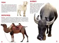 Книга "Велика книга. Домашні тварини" (укр)