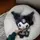 Мягкая игрушка аниме Sanrio Kuromi 35 см