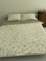 Постельное белье семейное Dushka Home Сатин 21663 160х215х2 см