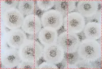 Фотошпалери текстуровані, вінілові Квіти, 250х380 см, fo01inV_fl102300