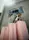 Чемодан Heys Pastel L Blush 10155-0127-30