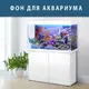 Подводный мир в аквариум наклейка, в разных размерах 40х65 см. (650х400)