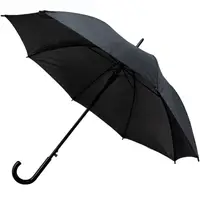 Зонт Semi Line Black (L2037-0)