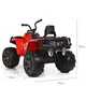 Детский электромобиль Квадроцикл Bambi M 3999EBLR-3 до 35 кг