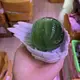 Статуэтка Ангельские крылья RESTEQ. Настольное украшение Angel Wings. Декор в форме крыльев
