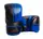 Перчатки боксерские PowerPlay 3025 Black/Blue L