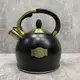 Чайник со свистком Ringel IQ Energy IQ-1002 3.2 л черный