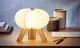 Настольная лампа на аккумуляторе Gingko - "R Space Lamp"