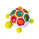 Сортер-черепашка Шелли Fat Brain Toys Pop N Slide Shelly F123ML