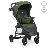 Коляска детская прогулочная FAVORIT v.2 M 3409N
Moss Green