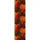 Дорожка на стол Осінній ліс 150x40 см (DR_24S003)