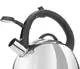 Чайник со свистком Ringel Trio RG-1005 2.5 л