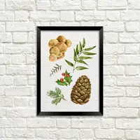 Постер в рамке Шишка 15x21 см, A5 (MT5_21NG012_BL)