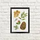 Постер в рамке Шишка 15x21 см, A5 (MT5_21NG012_BL)