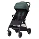 Коляска прогулочная Carrello Delta CRL-5517 (jungle green)