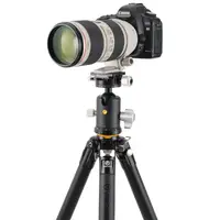 Штатив Vanguard VEO 5 304AB-250S (VEO 5 304AB-250S)