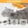 Паровая щетка массажер спрей 3 в 1 PET SPRAY MASSAGE BRUSH для вычесывания собак и кошек с паром
