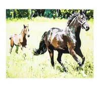 Картина по номерам Лошади, 60 х 75 см, краски, кисти. Multicolor (R012)