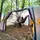 Намет Wechsel Intrepid 5 TL Laurel Oak (231081)