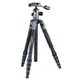 Штатив Vanguard VEO 2X 265ABP VEO 2X 265ABP