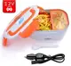 Ланч-бокс 220+ 12V с подогревом для автомобиля и дома The Electric Lunch Box