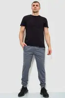 Спортивные штаны мужские, цвет серый, 244R4779