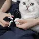 Когтерезка для животных 11938 12.8 см серая