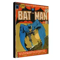 Картина на холсте Bat man 45х65 см (H4565_RET023)