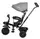 Триколісний дитячий велосипед Free2Move Sport, black - grey