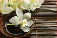 Фотообои текстурированные, виниловые Цветы, 250х380 см, fo01inV_fl13732