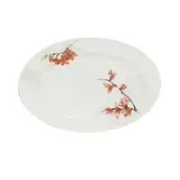 Овальное блюдо Айва оранж Ø25,4 см SNT 30066-16003-89082