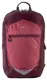 Спортивный рюкзак 20L Rocktrail Wanderrucksack бордовый