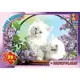 Пазлы G-Toys Домашние любимцы AN137 70 деталей