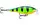 Воблер RAPALA Shallow Shad Rap SSR09 FP