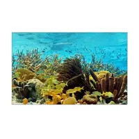 Морська Флора наклейка в акваріум 50х85 див.