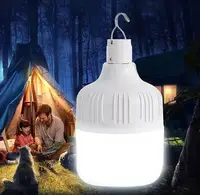 Лампа аккумуляторная кемпинговая c USB 10095 500 Вт