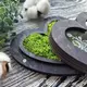 Свадебная коробочка для кольца с именами на крышке, деревянная шкатулка со мхом, подставка сердечко под кольца