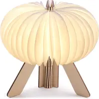 Настольная лампа на аккумуляторе Gingko - "R Space Lamp"
