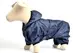 Дождевик 305225 Zoobaza - 25 х 34, красный