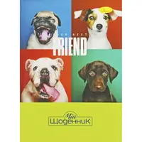 Дневник школьный "Friend", мягкий переплет