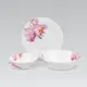 Сервиз столовый Maestro Peonies MR-30056-19S 19 предметов белый
