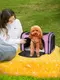 Сумка переноска для кошек и собак 42x28x28 см CosmoPet CP-47 Pink