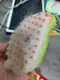 Паровая щетка массажер спрей 3 в 1 PET SPRAY MASSAGE BRUSH для вычесывания собак и кошек с паром