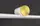 Бра LED 27953 Белый 12х8х57 см.