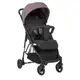 Коляска прогулочная Bambi M 4249-2 Mauve Pink книжка
