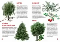Книга "Велика книга. Рослинний світ України" (укр)