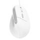 Мышь компьютерная проводная Trust Bayo 2 Ergonomic White 25397_TRUST белая